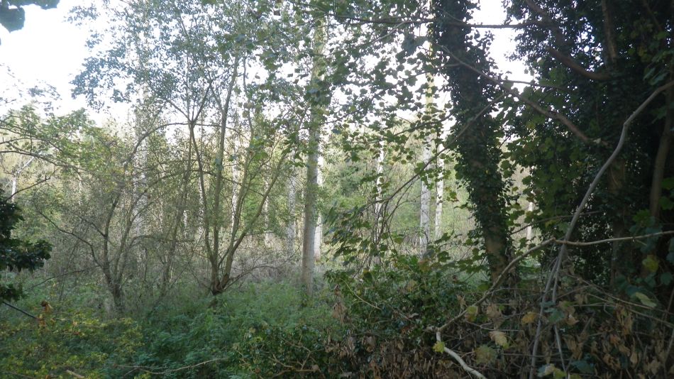 2017-10-21 01 Southern Norfolk Group Mulbarton.jpg