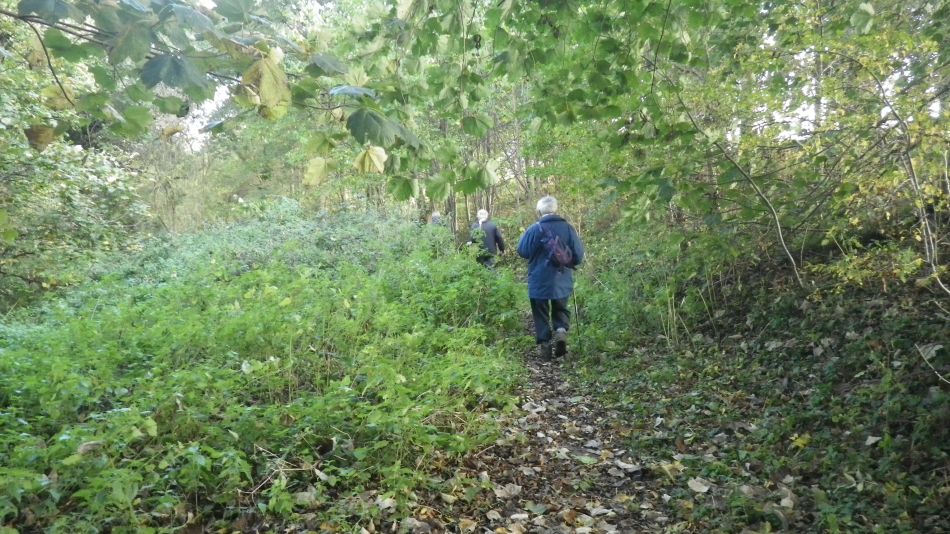 2017-10-21 02 Southern Norfolk Group Mulbarton.jpg