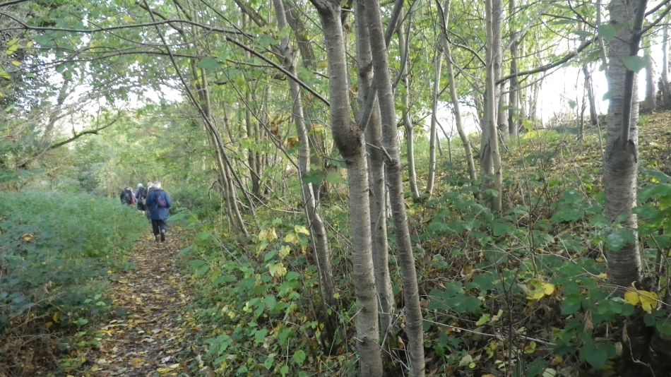 2017-10-21 03 Southern Norfolk Group Mulbarton.jpg