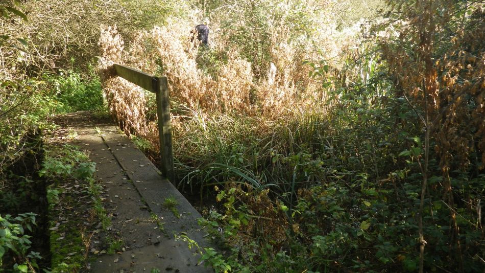 2017-10-21 04 Southern Norfolk Group Mulbarton.jpg