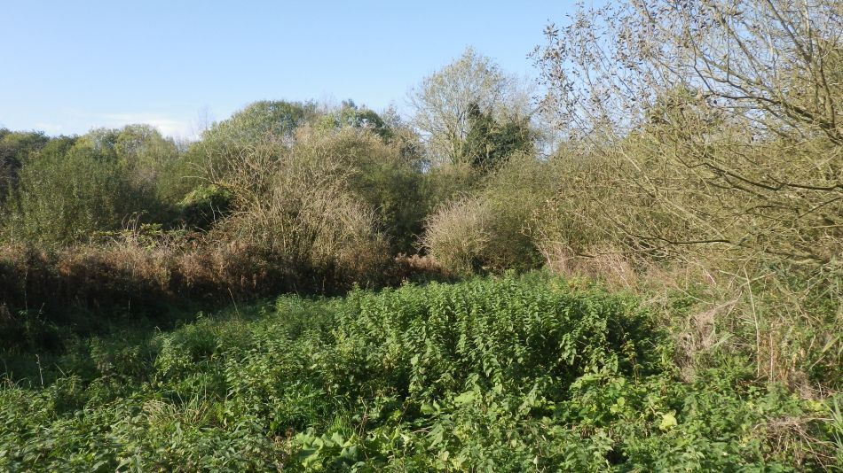 2017-10-21 05 Southern Norfolk Group Mulbarton.jpg