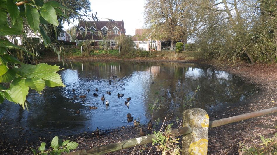 2017-10-21 06 Southern Norfolk Group Mulbarton.jpg