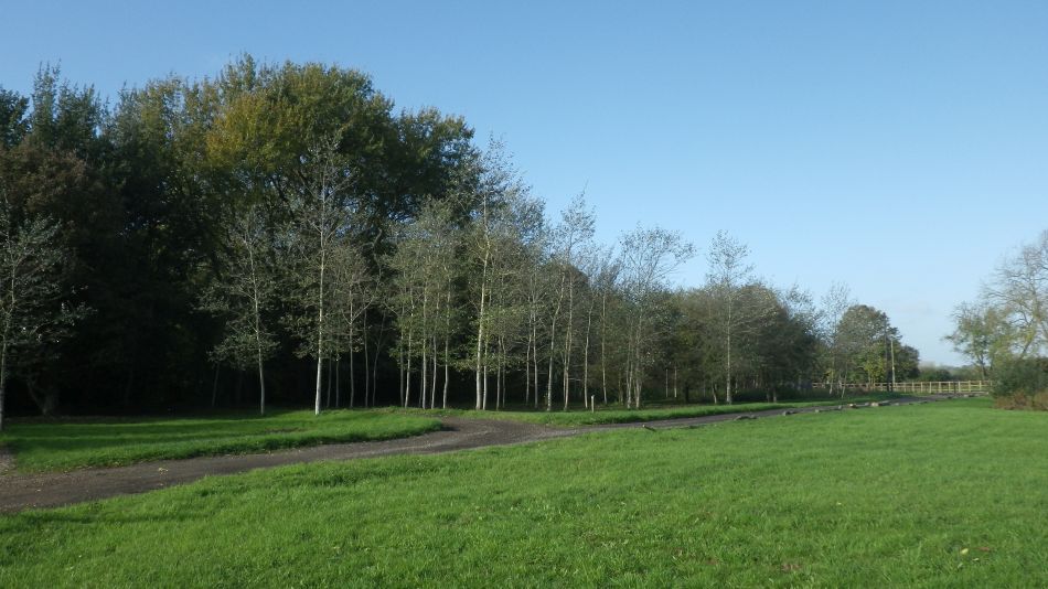 2017-10-21 08 Southern Norfolk Group Mulbarton.jpg