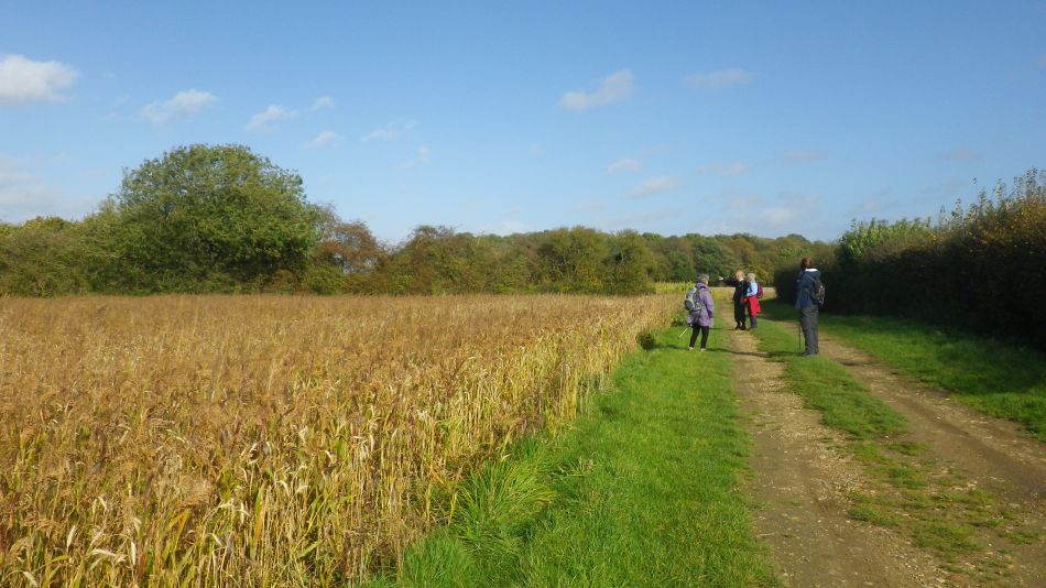 2017-10-21 15 Southern Norfolk Group Mulbarton.jpg