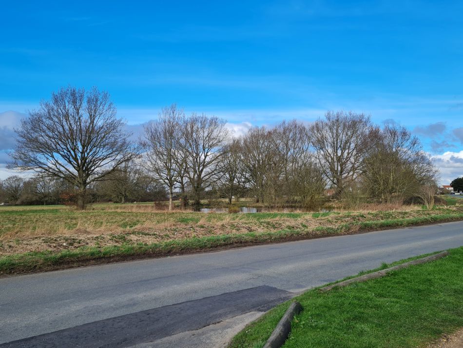 2024-02-26 03 Breckland Walkers at Mulbarton.jpg