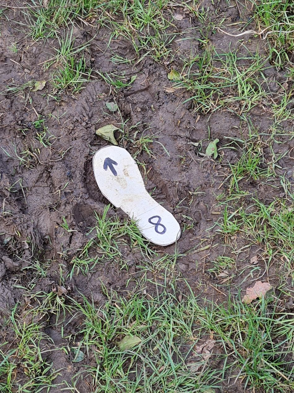 2024-02-26 05 Breckland Walkers at Mulbarton.jpg