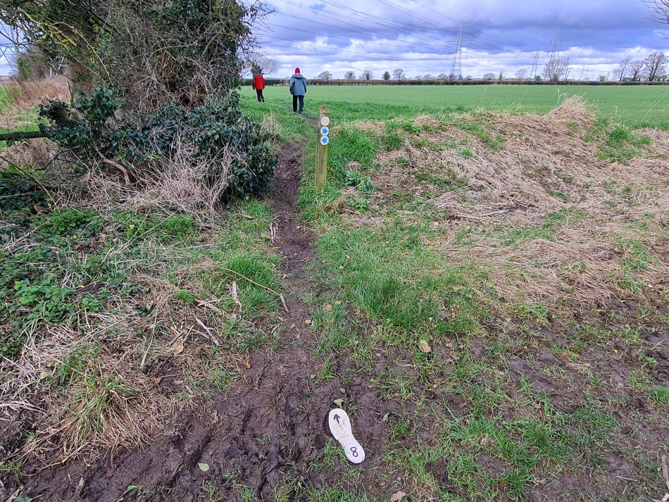 2024-02-26 06 Breckland Walkers at Mulbarton.jpg