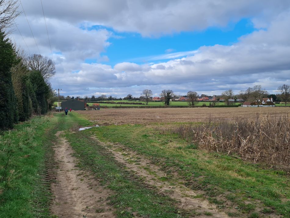2024-02-26 07 Breckland Walkers at Mulbarton.jpg