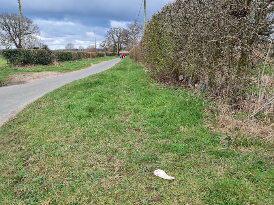 2024-02-26 08 Breckland Walkers at Mulbarton.jpg