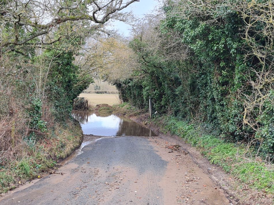 2024-02-26 12 Breckland Walkers at Mulbarton.jpg