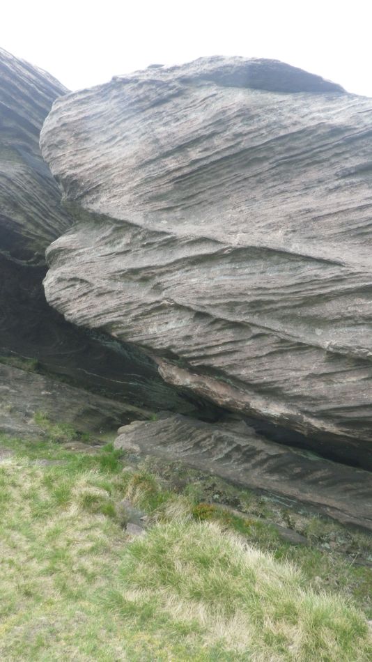 2019-05-01 34 Roaches.jpg