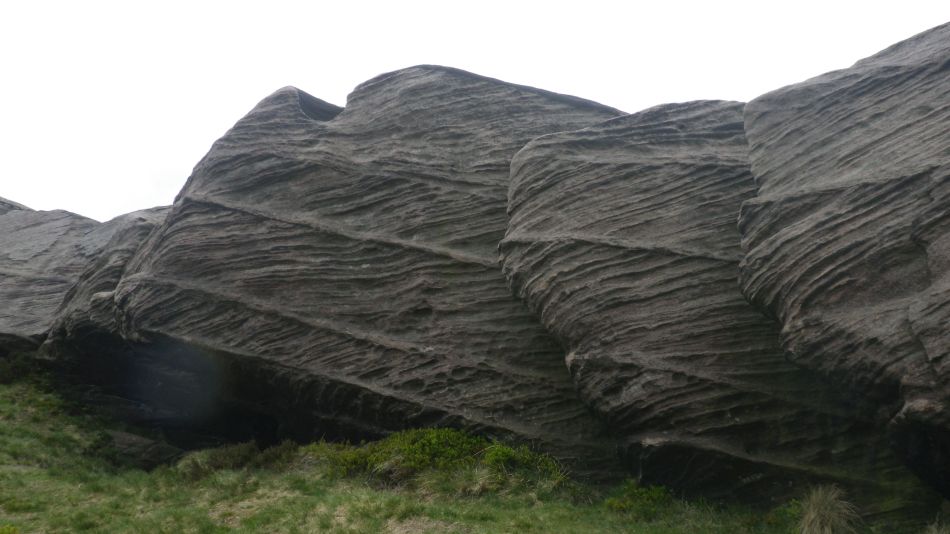 2019-05-01 35 Roaches.jpg