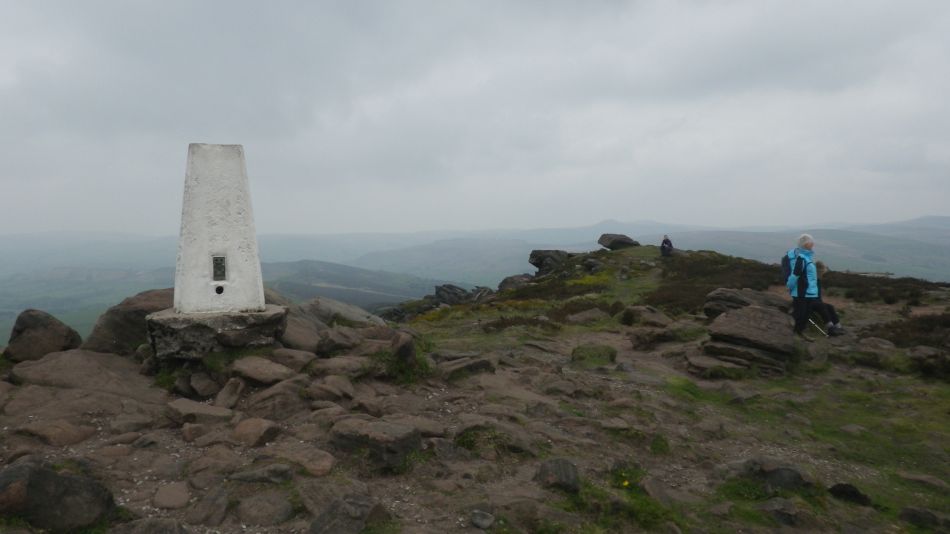 2019-05-01 36 Roaches.jpg