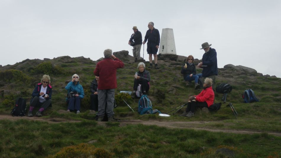 2019-05-01 38 Roaches.jpg