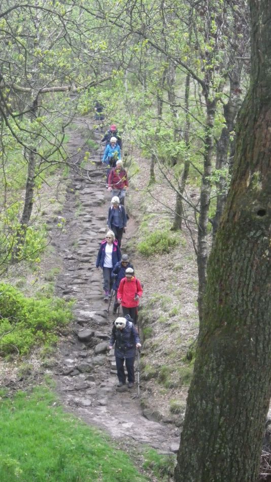 2019-05-01 43 Roaches.jpg