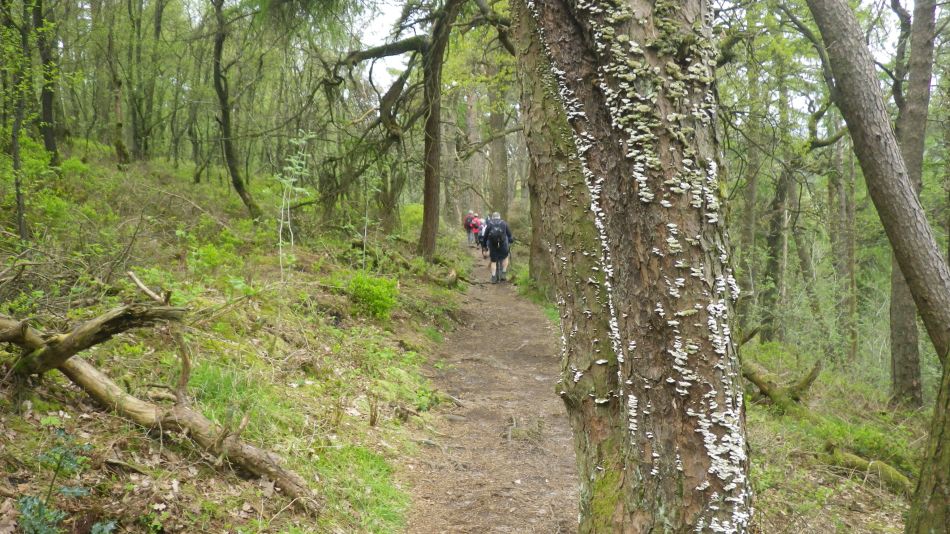 2019-05-01 45 Roaches.jpg