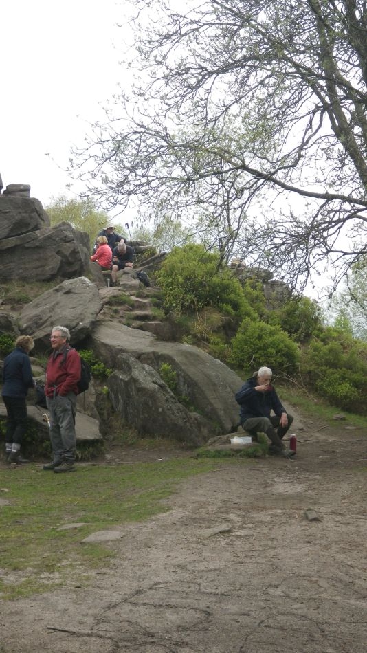 2019-05-01 55 Roaches.jpg