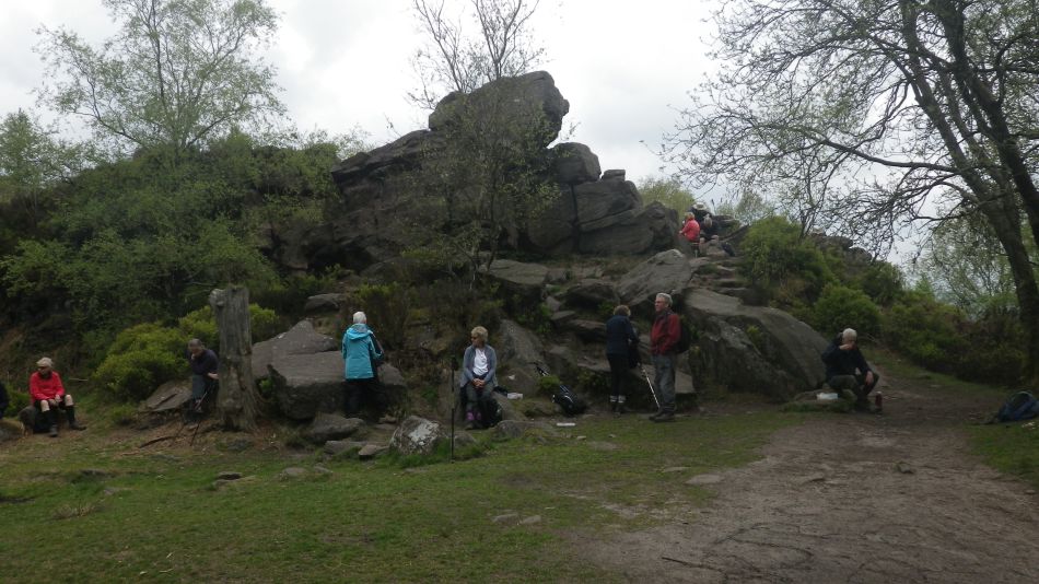 2019-05-01 56 Roaches.jpg