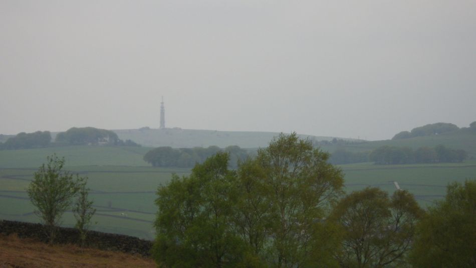 2019-05-01 57 Roaches.jpg