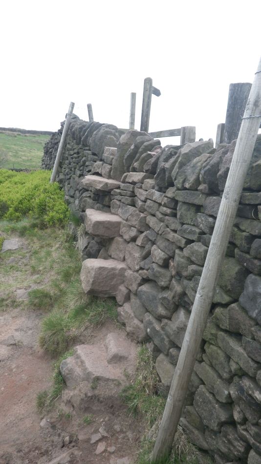 2019-05-01 58 Roaches.jpg