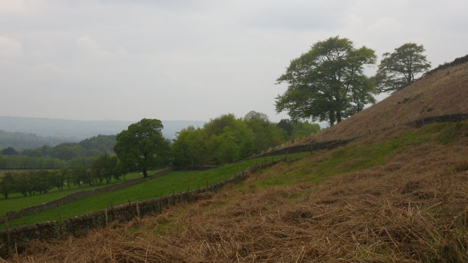 2019-05-01 60 Roaches.jpg