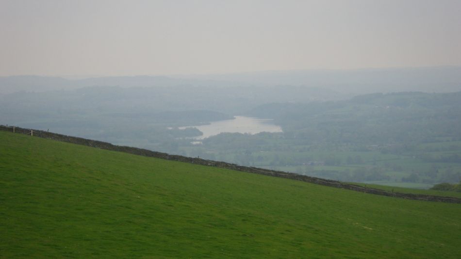 2019-05-01 66 Roaches.jpg