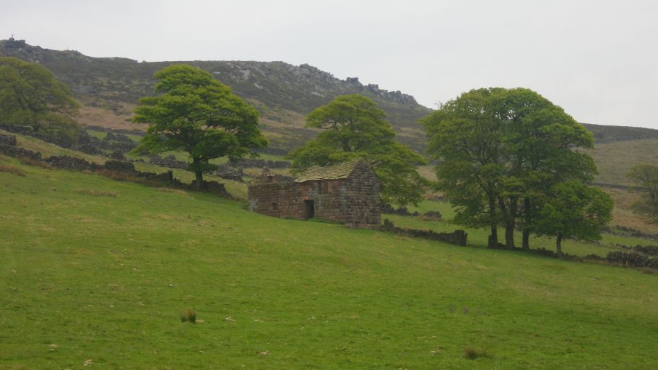 2019-05-01 67 Roaches.jpg