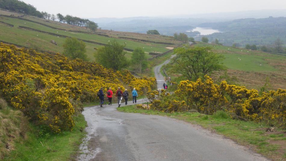 2019-05-01 69 Roaches.jpg