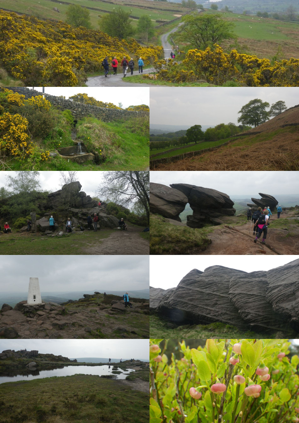 2019-05-01 98 Image.jpg