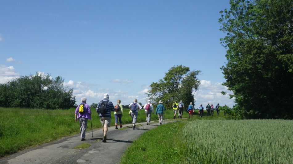 2019-06-06 02 Shelfanger.JPG