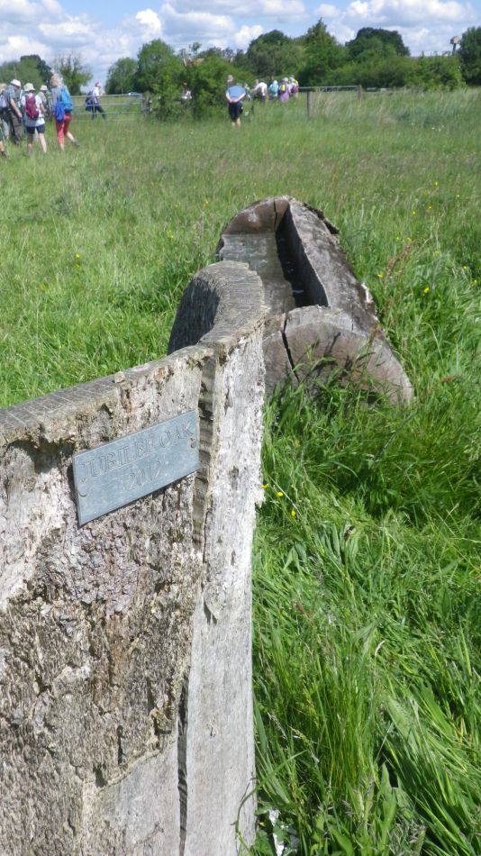 2019-06-06 05 Jubilee Oak.JPG