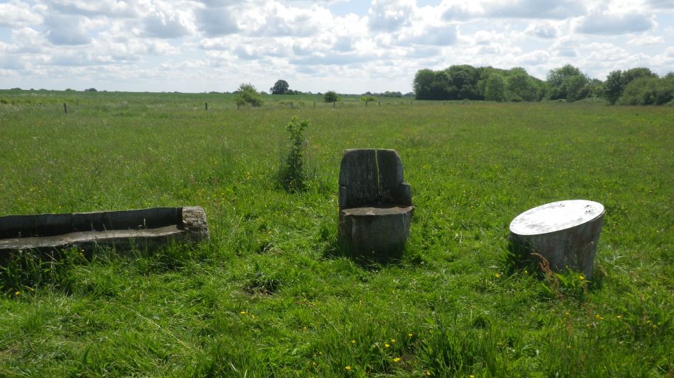 2019-06-06 06 Jubilee Oak.JPG