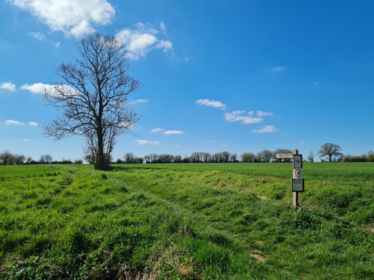 2025-04-07 01 Shelfanger.jpg