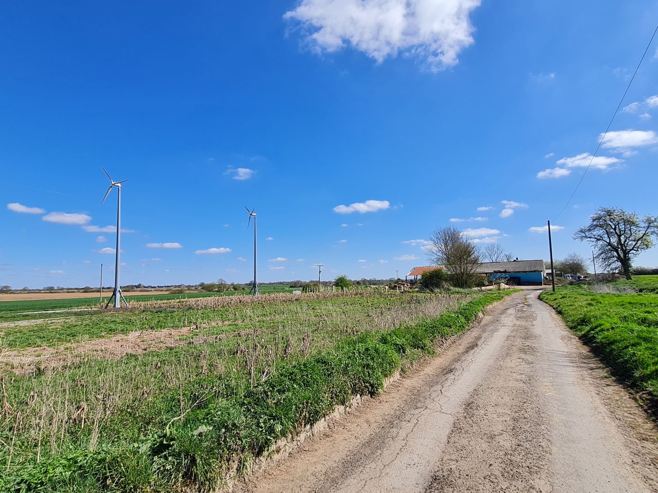 2025-04-07 02 Shelfanger.jpg