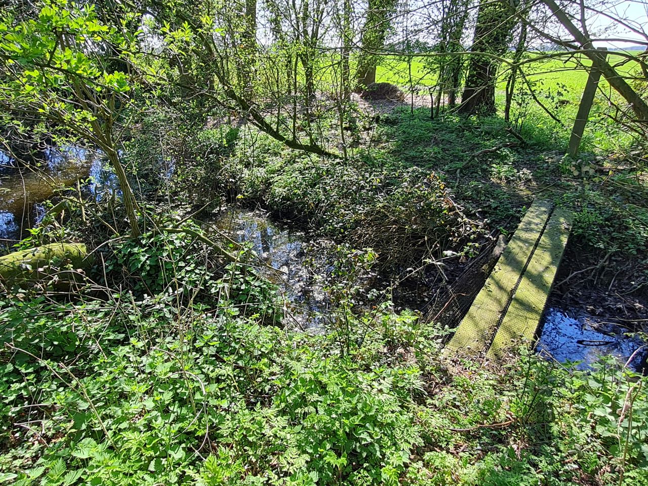 2025-04-07 09 Kenninghall Lodge Path Blockage.jpg