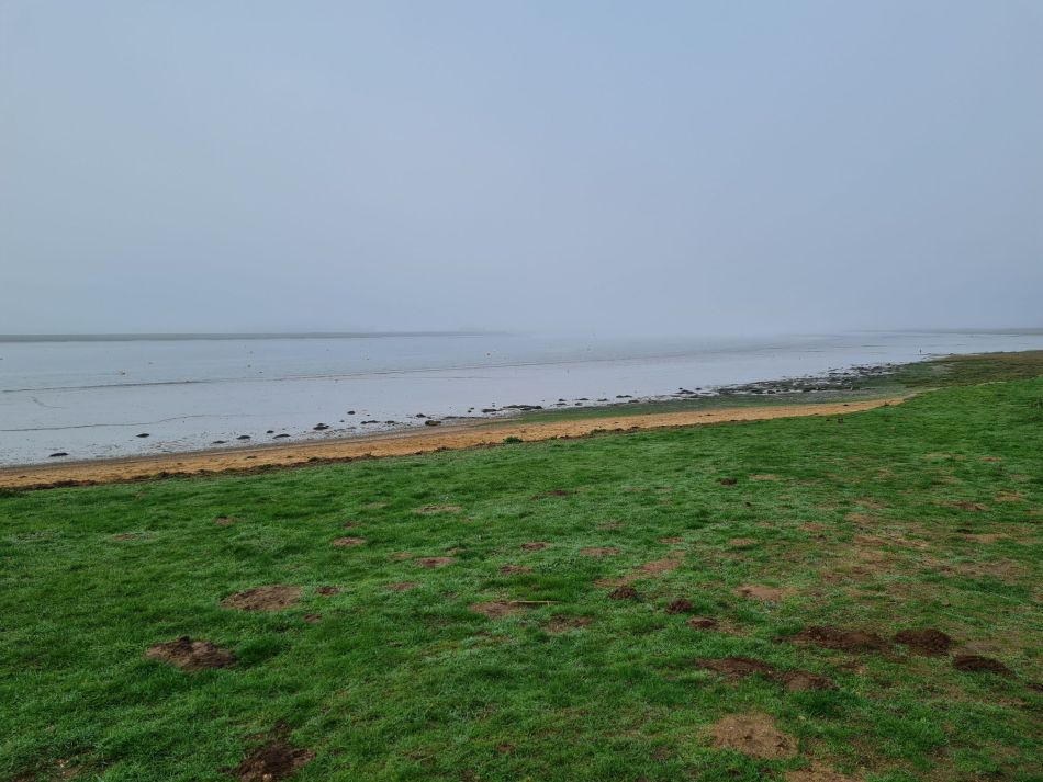 2020-09-18 02 Ramsholt and Shottisham.jpg