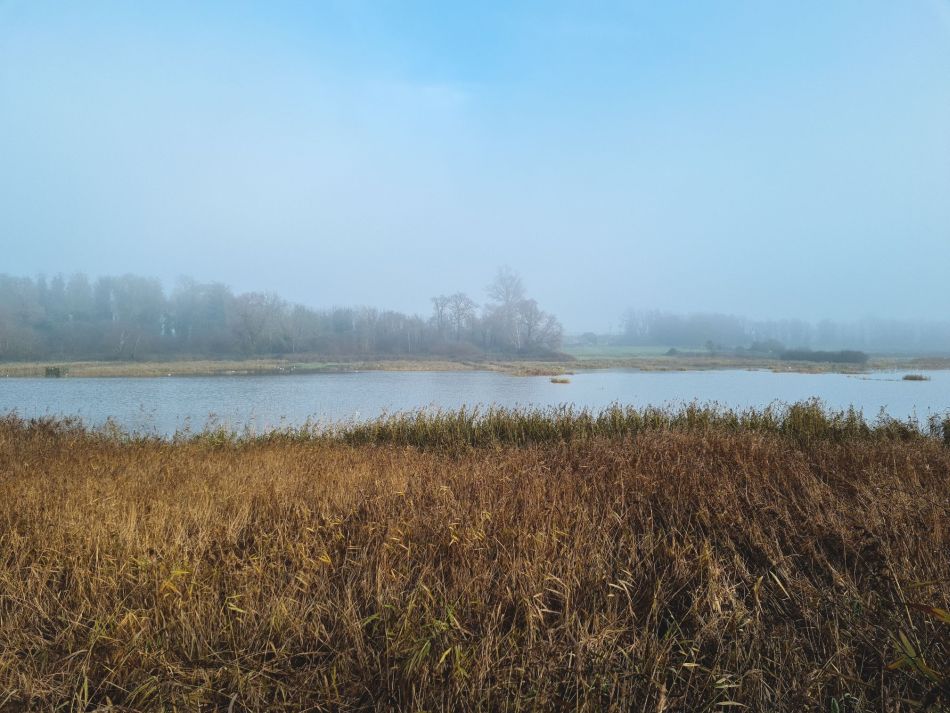 2020-09-18 03 Ramsholt and Shottisham.jpg