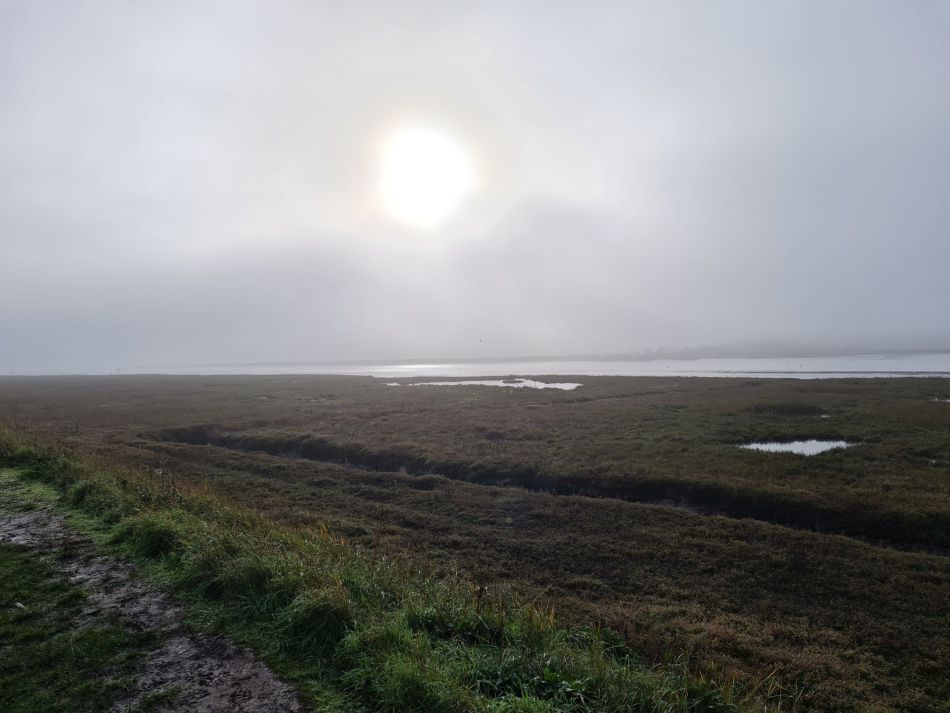 2020-09-18 04 Ramsholt and Shottisham.jpg