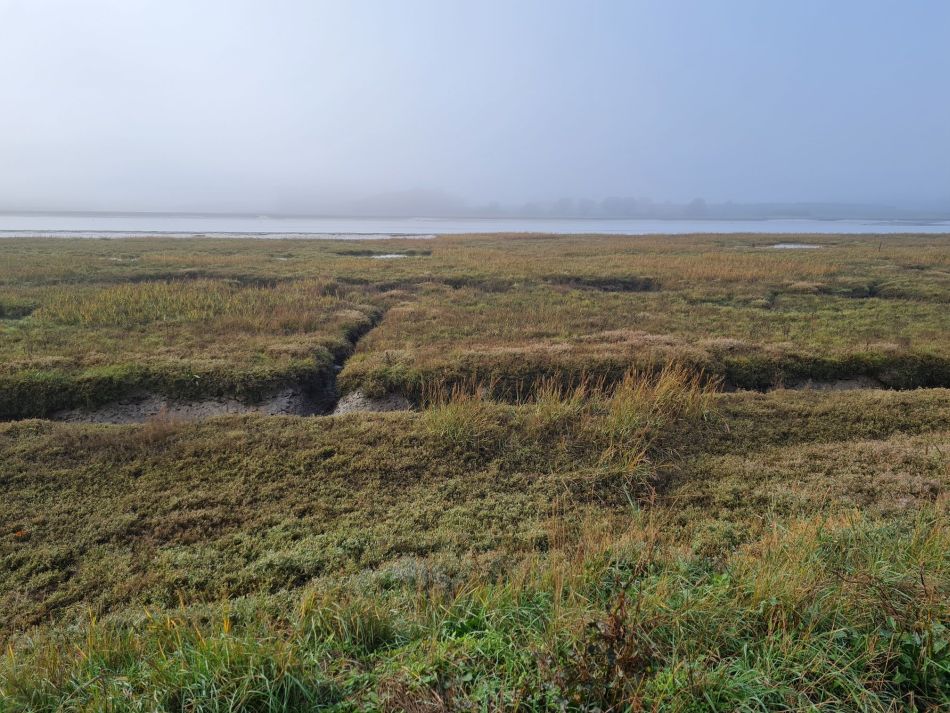 2020-09-18 05 Ramsholt and Shottisham.jpg