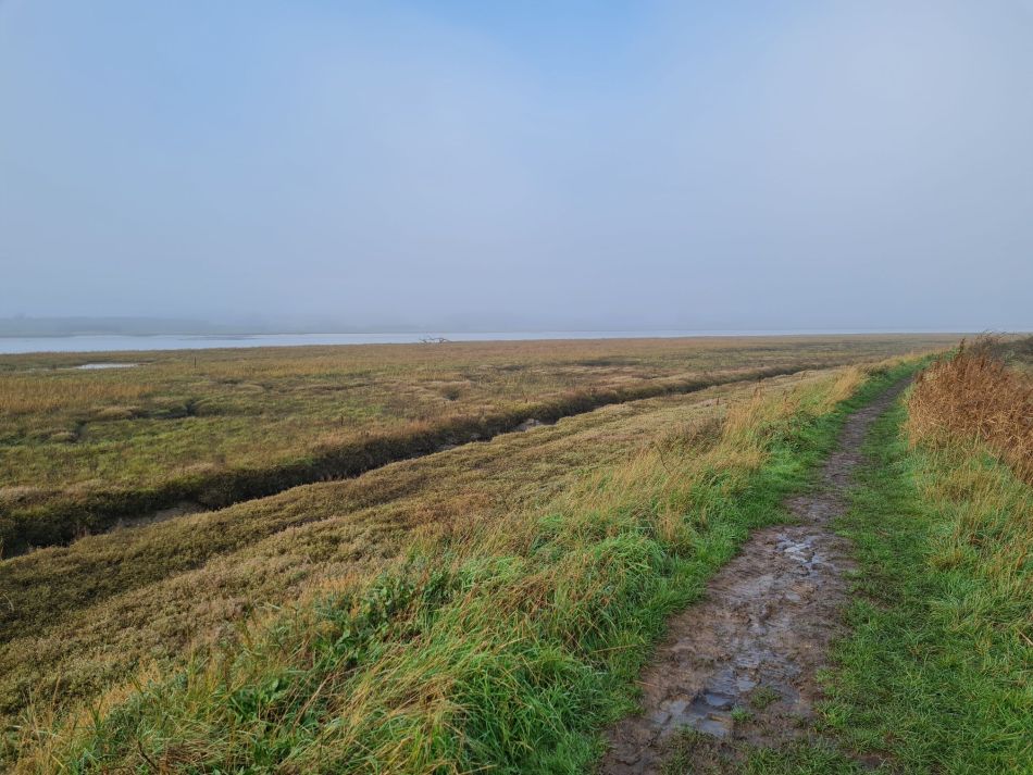 2020-09-18 06 Ramsholt and Shottisham.jpg