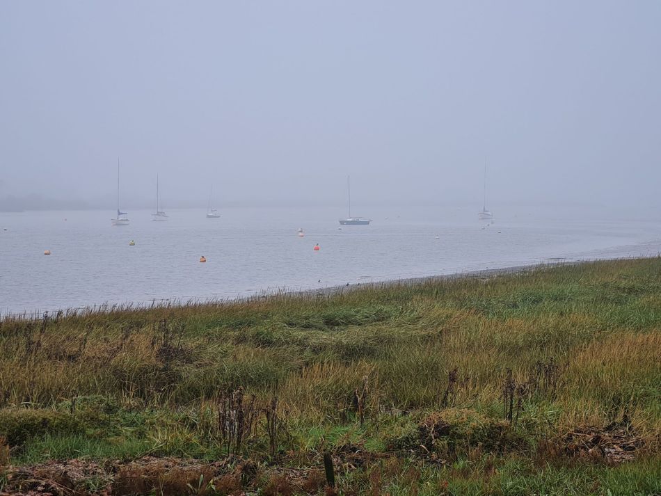 2020-09-18 08 Ramsholt and Shottisham.jpg