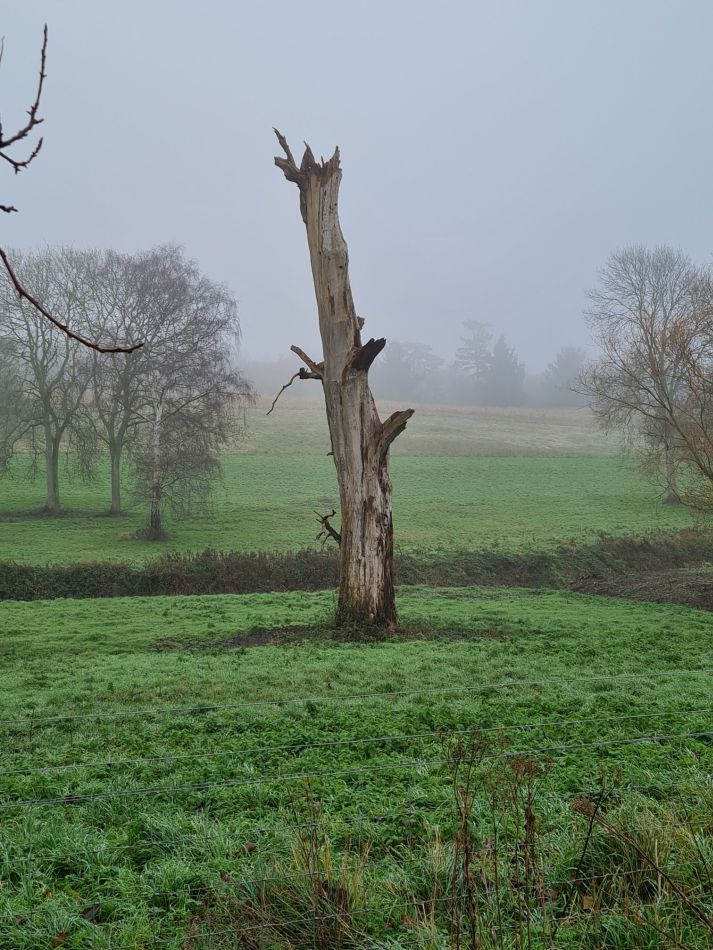 2020-09-18 09 Ramsholt and Shottisham.jpg
