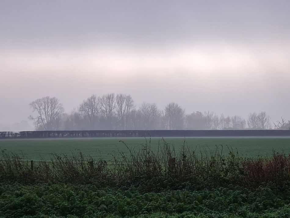 2020-09-18 11 Ramsholt and Shottisham.jpg