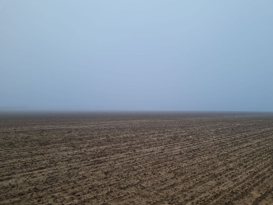 2020-09-18 15 Ramsholt and Shottisham.jpg