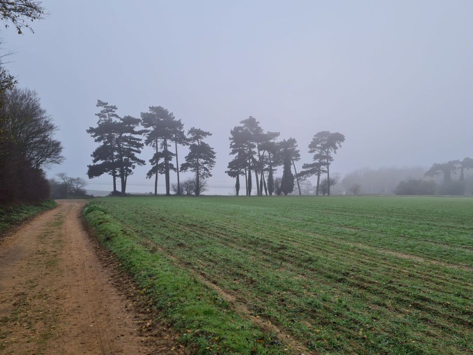 2020-09-18 16 Ramsholt and Shottisham.jpg