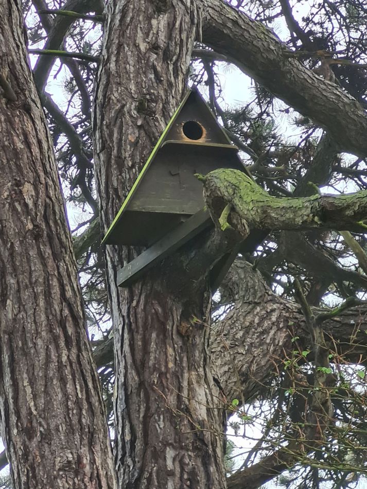 2020-09-18 18 Ramsholt and Shottisham.jpg