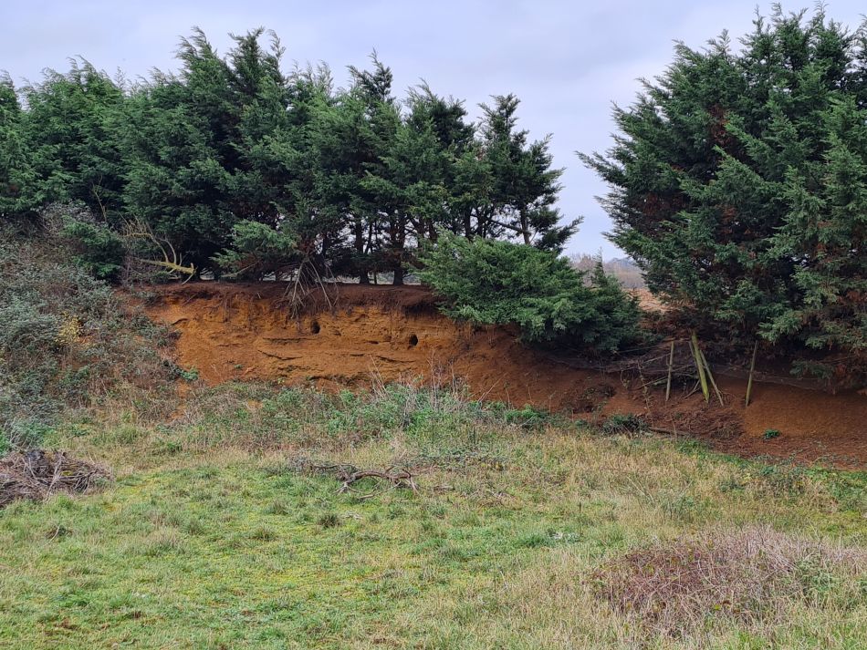 2020-09-19 03 Ramsholt and Alderton.jpg