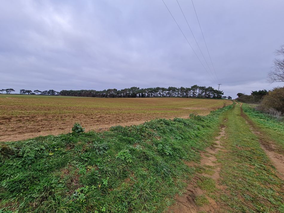 2020-09-19 04 Ramsholt and Alderton.jpg