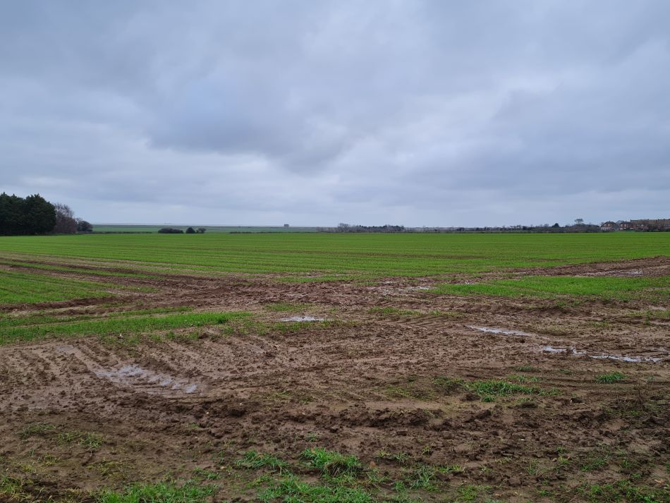 2020-09-19 15 Ramsholt and Alderton.jpg