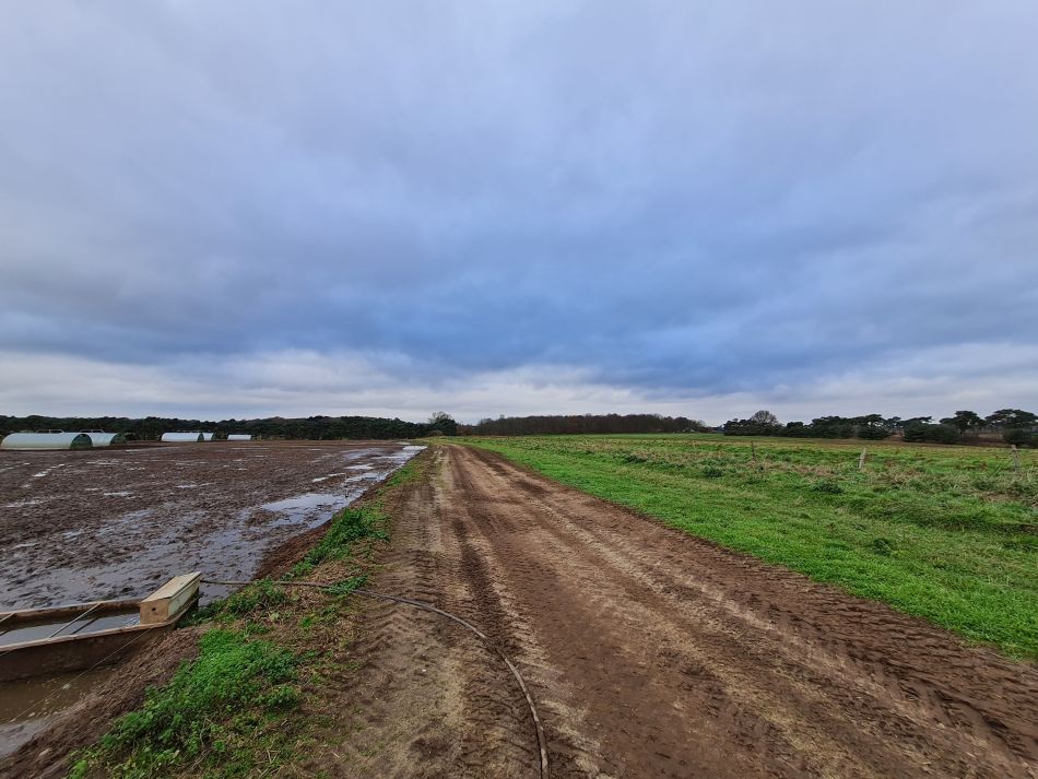 2020-09-19 19 Ramsholt and Alderton.jpg